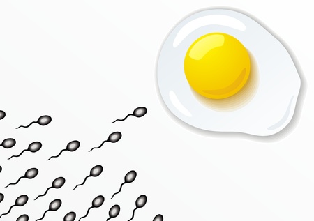 Sperm hasten to a female cell in the form of a chicken eggのイラスト素材