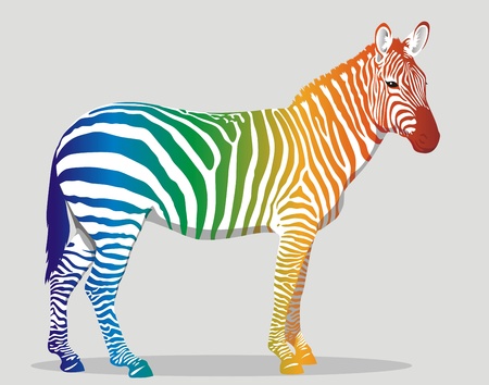 Zebra with multi-colored strips on a bodyのイラスト素材