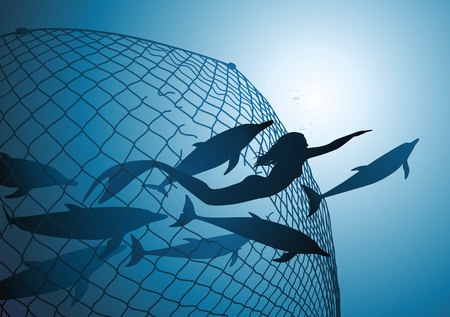 The mermaid rescues flight of dolphins from a fishing netのイラスト素材