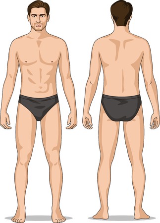 Figure of the standing man in front and behindのイラスト素材