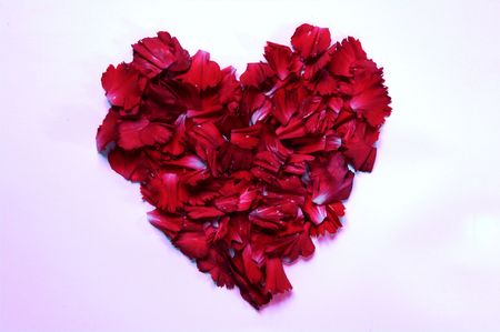 Valentine's Day heart with white feather and red flower petalの写真素材