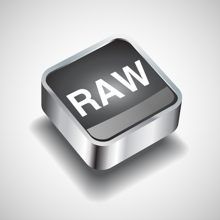 Raw file icon vectorのイラスト素材