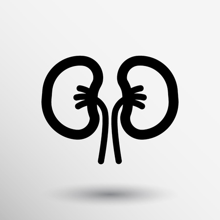 kidney icon isolated human two vein white medical.のイラスト素材