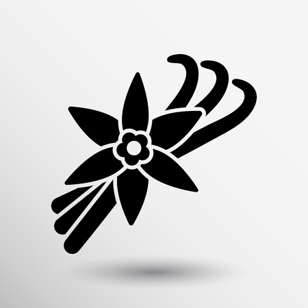 Vanilla flower and vanilla pods Vector Logo.のイラスト素材