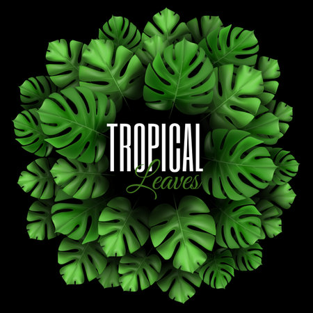 Round concept composition with tropical plants. Natural Realistic Green Palm Leaf Tropical Background. Circle frame with copy space. design template for advertising web social media and fashion adsのイラスト素材