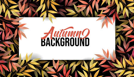 Banner with autumn leaf in forest. Fallen leaves, orange, yellow, red foliage. Border for fall season posterのイラスト素材