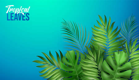 Summer Botanical tropical leaves on blue background. Design for cosmetics, spa, medical products, travel company. Vector bannerのイラスト素材