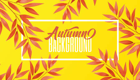 Colorful leaves. Red Leaf on yellow background. Autumn advertising header or banner design. Abstract Vector Illustrationのイラスト素材