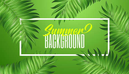 Summer tropical vector design for banner or flyer with dark green palm leaves and place for textのイラスト素材