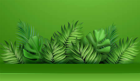 3d shelf. Product display podium decorated with tropical palm leaves on green background. Vecior illustration.のイラスト素材