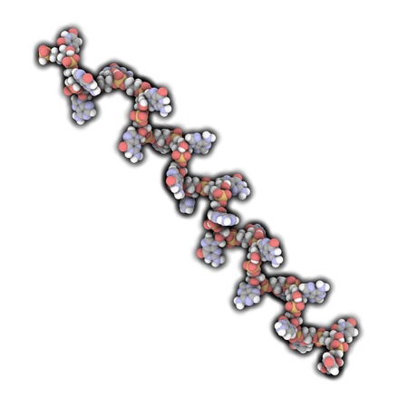 3D view of a molecule of a microRNA (miRNA) moleculeの写真素材