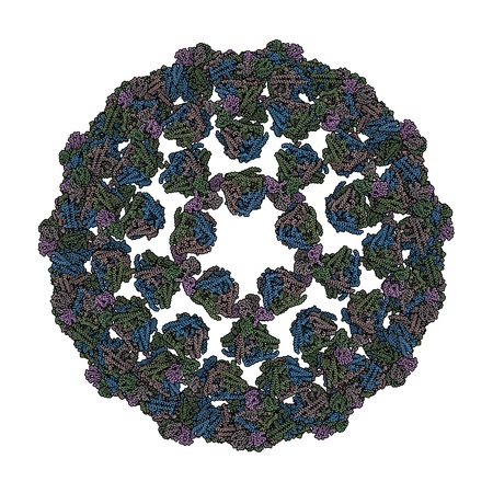 3D rendering of a Bluetongue virus, the causative agent of Bluetongue diseaseの写真素材