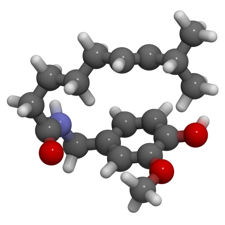3D molecular structure of capsaicin, the active component of chili peppers and pepper sprayの写真素材