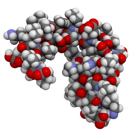 Chemical structure of a dermcidin-1L molecule. Dermcidin is a protein found in human sweat and has antibacterial and antifungal properties.の写真素材