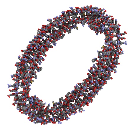Chemical structure of an Apolipoprotein A-I molecule, the main protein component of high-density lipoprotein particles (also known as good cholesterol).の写真素材