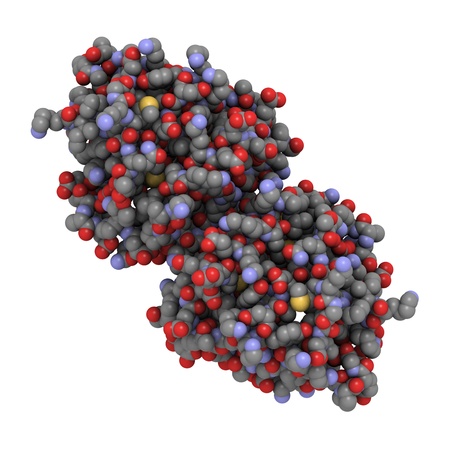 Chemical structure of bovine beta-lactoglobulin, the main whey protein in cow and sheep's milk.の写真素材