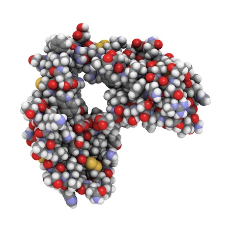 Chemical structure of a alpha-cobratoxin molecule of Naja kaouthia cobra.の写真素材