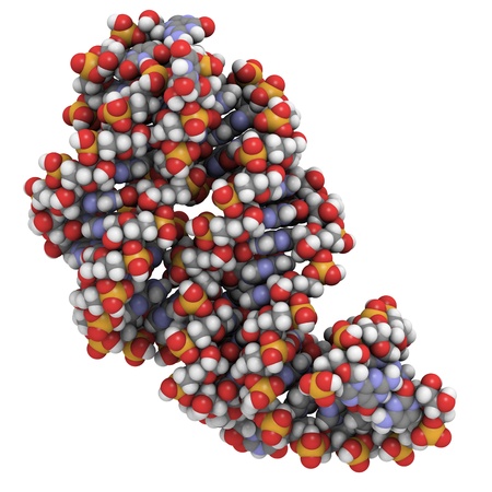 Chemical structure of a bacterial guanine riboswtich bound to hypoxanthine.の写真素材