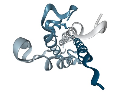 Chemical structure of human growth hormone (HGH), a natural hormone that is used both as a drug and as a doping agent.の写真素材