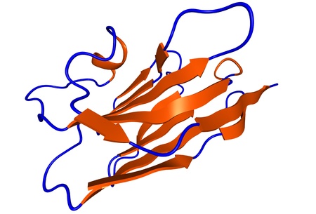 Chemical structure of a nanobody, a small antibody found in camels, dromedaries and llamas.の写真素材