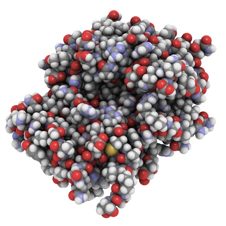 Chemical structure of a vaccine against ricin poisoning.の写真素材