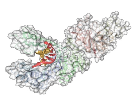 Chemical structure of Taq polymerase, the key enzyme used in the polymerase chain reaction (PCR).の写真素材