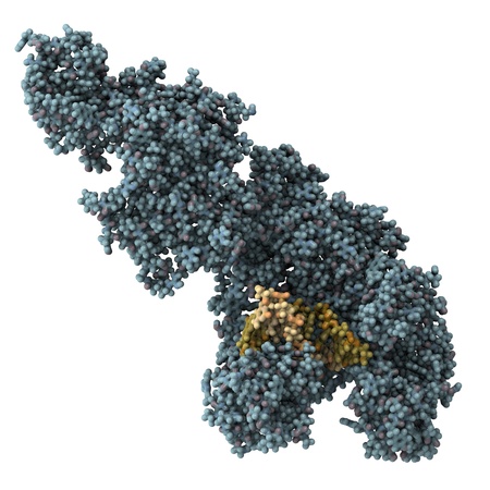 Chemical structure of Taq polymerase, the key enzyme used in the polymerase chain reaction (PCR).の写真素材