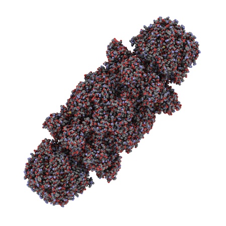 Chemical structure of the yeast proteasome. The proteasome breaks apart unneeded and damaged proteins inside the cell.の写真素材