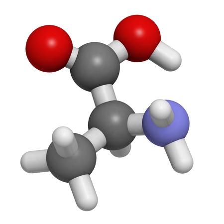 Chemical structure of a molecule of L-Alanine (Ala, A). This is a simple, nonessential amino-acidの写真素材