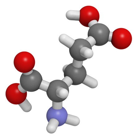 Chemical structure of a molecule of L-Glutamic acid (Glu, E). The anion form of this amino acid, glutamate, is an important neurotransmitter that plays a role in long-term potentiation. This is essential for learning and memory. Its name is derived from gの写真素材