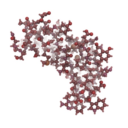 Chemical structure of human epidermal growth factor (hEGF). EGF is a growth factor that, upon binding to the EGF receptor, stimulates cell growth and proliferation. Inhibition of the EGF receptor (EGFR) is used to treat some forms of cancer.の写真素材