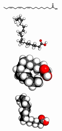 Omega-3 unsaturated fatty acid (alpha-linolenic acid), molecular model. Three representations: 2D skeletal formula, 3D space-filling model and 3D ball-and-stick model.のイラスト素材