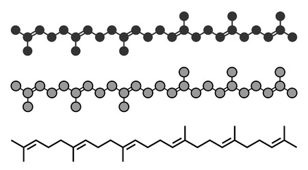Squalene natural hydrocarbon molecule. Found in shark liver oil and number of plant sources. Stylized 2D renderings and conventional skeletal formula.のイラスト素材