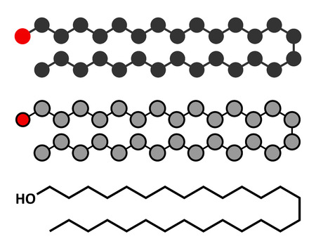 Octacosanol plant wax component molecule. long chain fatty alcohol, present in e.g. the waxy cover of eucalyptus leaves. Main constituent of policosanol nutritional supplement. Stylized 2D renderings and conventional skeletal formula.のイラスト素材