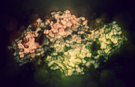 CD4 surface protein. Glycoprotein present on a number of white blood cell types, including the CD4+ helper cells. 3D illustration. Cartoon representation combined with semi-transparent surfaces.の写真素材