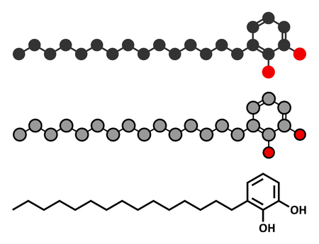 Urushiol poison ivy allergen molecule. Also present in poison oak, lacquer tree and poison sumac. Urushiol is a mixture of closely related components, only one of which is shown. Stylized 2D renderings and conventional skeletal formula.