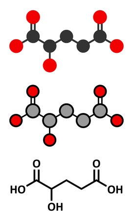 2-hydroxyglutarate molecule. Conventional skeletal formula and stylized representations.のイラスト素材