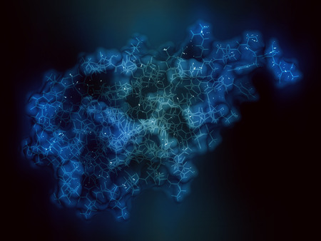 CD47 (integrin associated protein, extracellular domain) protein. Often present on cancer cells and...