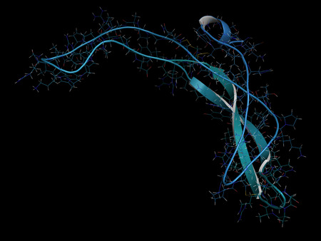 Sclerostin (murine) protein. Causes decreased bone formation by inhibiting the Wnt signaling pathway. Target of romosozumab, a monoclonal antibody for the treatment of osteoporosis. 3D rendering based on protein data bank entry 2kd3. Combined cartoon and の写真素材