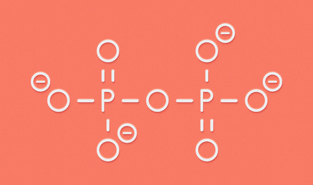 Pyrophosphate (PPi) anion. Important in biochemistry, used as food additive (E450). Skeletal...