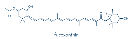 Fucoxanthin brown algae pigment molecule. Ingredient of some dietary supplements. Skeletal formula.のイラスト素材