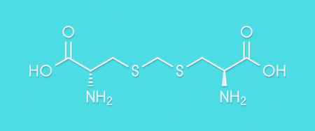 Djenkolic acid molecule. Toxic amino acid found in djenkol beans. Skeletal formula.の写真素材