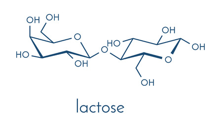 Lactose milk sugar molecule. Skeletal formula.のイラスト素材