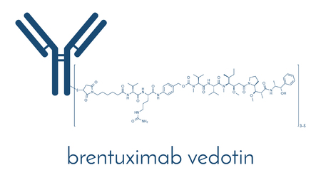 Brentuximab vedotin antibody-drug conjugate molecule.のイラスト素材