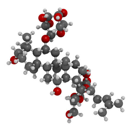 Ginsenoside Rg1 ginseng molecule. 3D rendering. Atoms are represented as spheres with conventional color coding: hydrogen (white), carbon (grey), oxygen (red).の写真素材