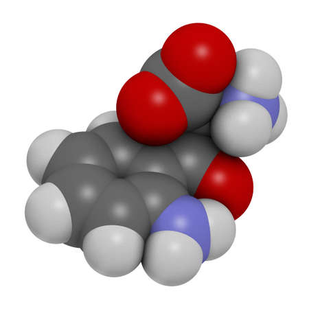 Kynurenine molecule. 3D rendering. Atoms are represented as spheres with conventional color coding: hydrogen (white), carbon (grey), oxygen (red), nitrogen (blue).の写真素材
