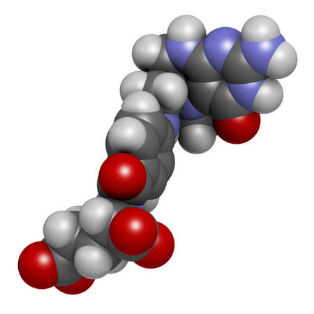Levomefolic acid or 5-methyltetrahydrofolate molecule. 3D rendering. Atoms are represented as spheres with conventional color coding: hydrogen (white), carbon (grey), oxygen (red), nitrogen (blue).の写真素材