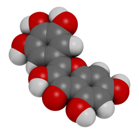 Myricetin flavonoid molecule. 3D rendering. Atoms are represented as spheres with conventional color coding: hydrogen (white), carbon (grey), oxygen (red).の写真素材