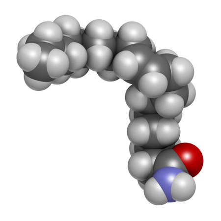Oleamide molecule. 3D rendering. Atoms are represented as spheres with conventional color coding: hydrogen (white), carbon (grey), oxygen (red), nitrogen (blue).の写真素材