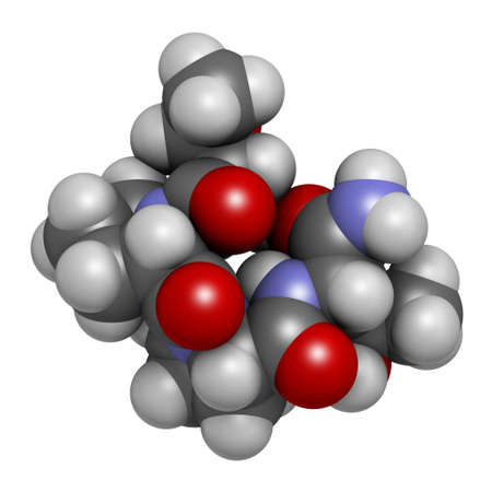 Rapastinel drug molecule. 3D rendering. Atoms are represented as spheres with conventional color coding: hydrogen (white), carbon (grey), nitrogen (blue), oxygen (red).の写真素材